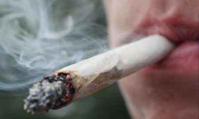 Dommages sur l'ADN du cannabis et du tabac