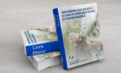 Livre blanc sur le chanvre bien-être