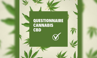 Questionnaire cannabis CBD