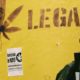 Cannabis légal en Uruguay