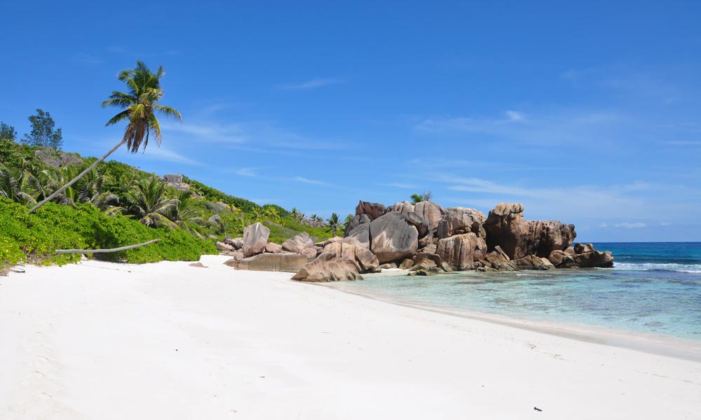 Cannabis médical aux Seychelles