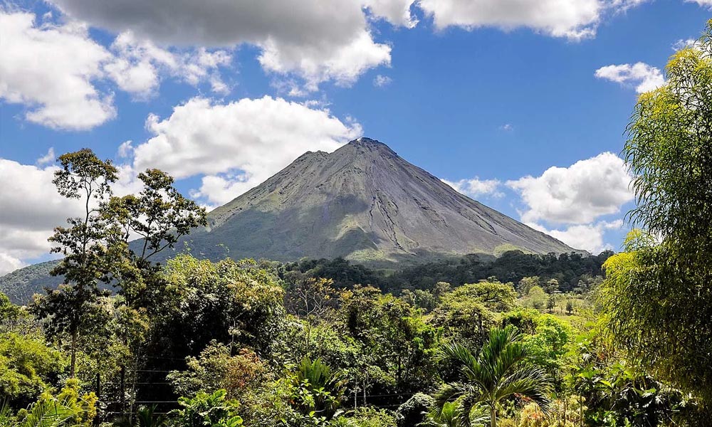 Chanvre au Costa Rica