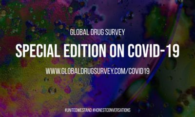 Global Drug Survey 19