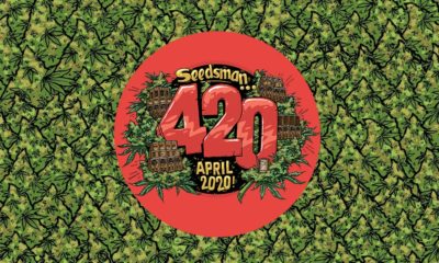 Le 420 de Seedsman