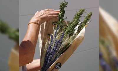 Bouquet de fleurs de chanvre