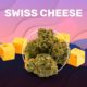 Swiss Cheese