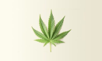 Cannabis et maladie cardiaque