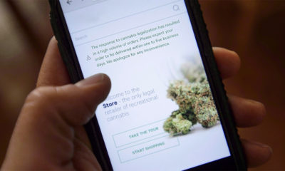 Vente en ligne de cannabis