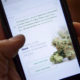 Vente en ligne de cannabis