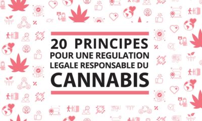 20 principes pour une régulation responsable du cannabis