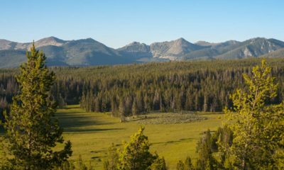 Légalisation du cannabis au Montana