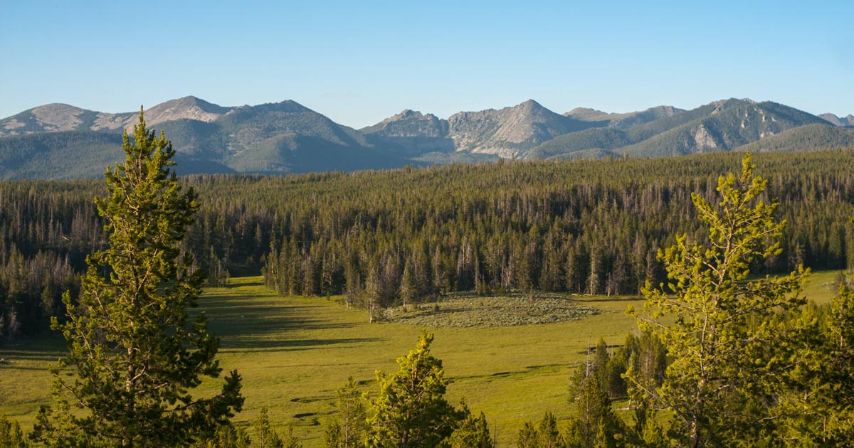 Légalisation du cannabis au Montana