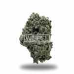 SunRock WEECL