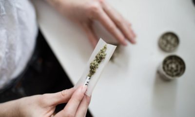 Amende cannabis pour les consommateurs