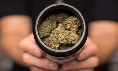 Anniversaire de la légalisation du cannabis au Canada