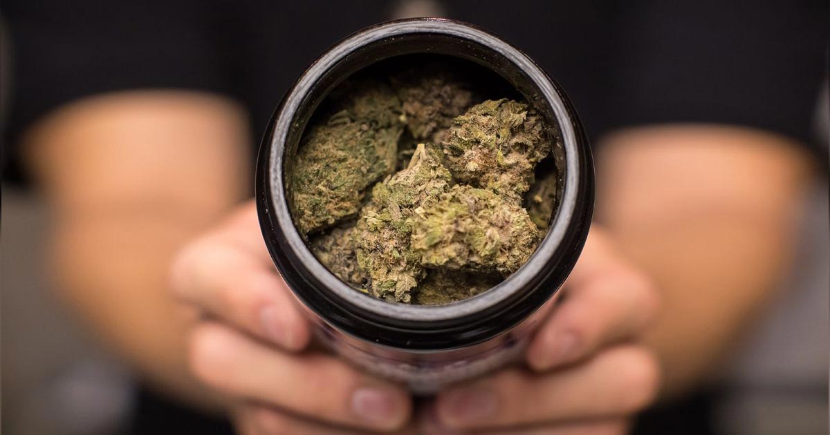 Anniversaire de la légalisation du cannabis au Canada