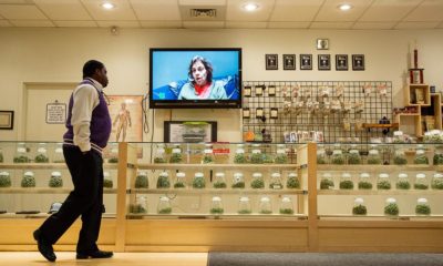 Bilan de la légalisation du cannabis au Colorado