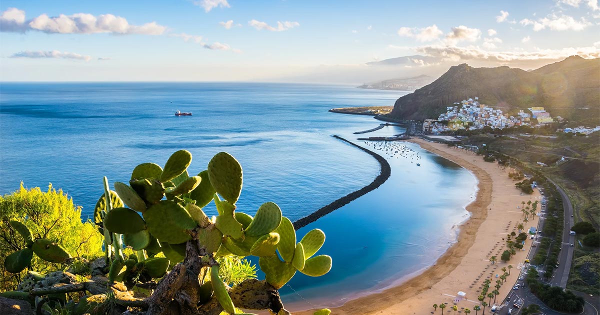 Cannabis médical aux Canaries