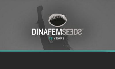 Dinafem