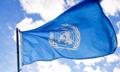 La France soutient le cannabis médical à l'ONU