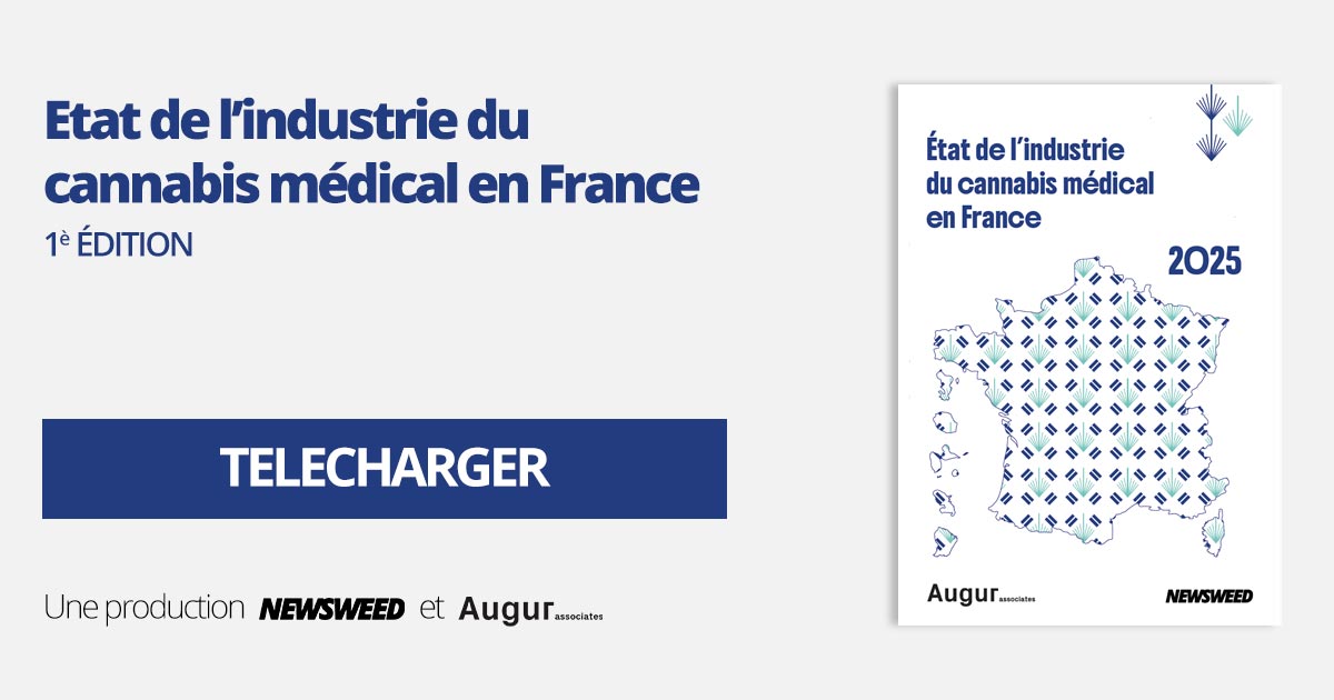 Rapport cannabis médical
