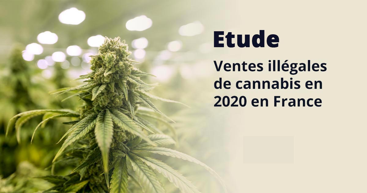 Ventes illégales de cannabis en 2020