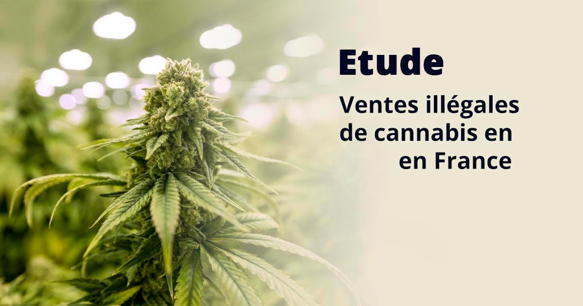 Ventes illégales de cannabis en France