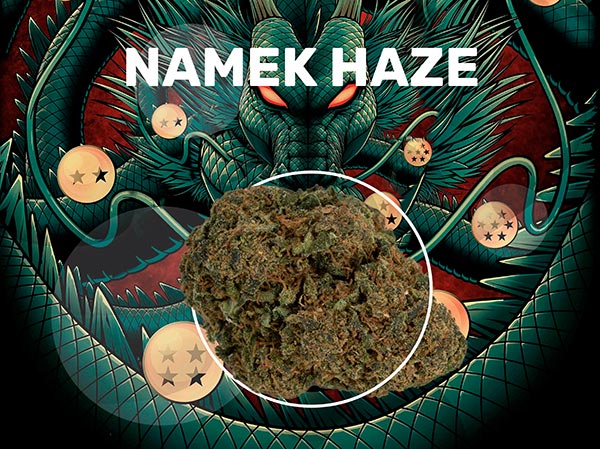 Namek Haze