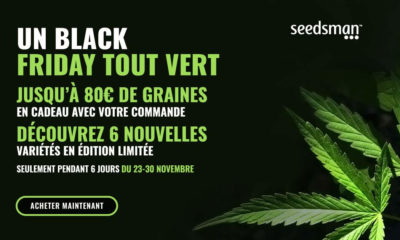 Black Friday Seedsman