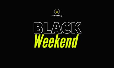 Black Weekend de Weedzy