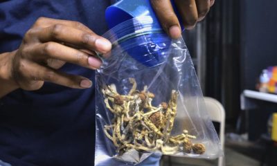 Dépénalisation du cannabis et champignons hallucinogènes au New Jersey