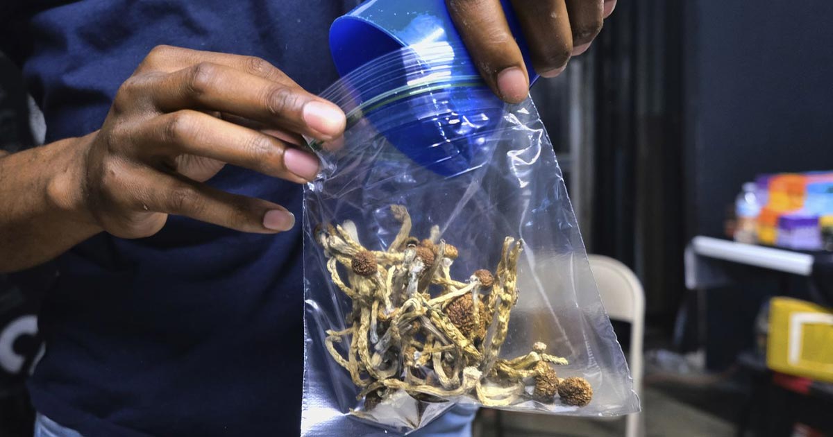 Dépénalisation du cannabis et champignons hallucinogènes au New Jersey