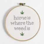 Paradise Seeds and Amsterdam