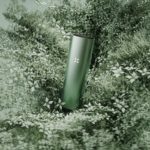 Pax 3 Sage