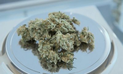 Magasins de cannabis en Ontario