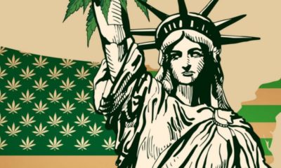 Légalisation du cannabis aux Etats-Unis