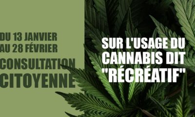 Consultation citoyenne sur le cannabis récréatif