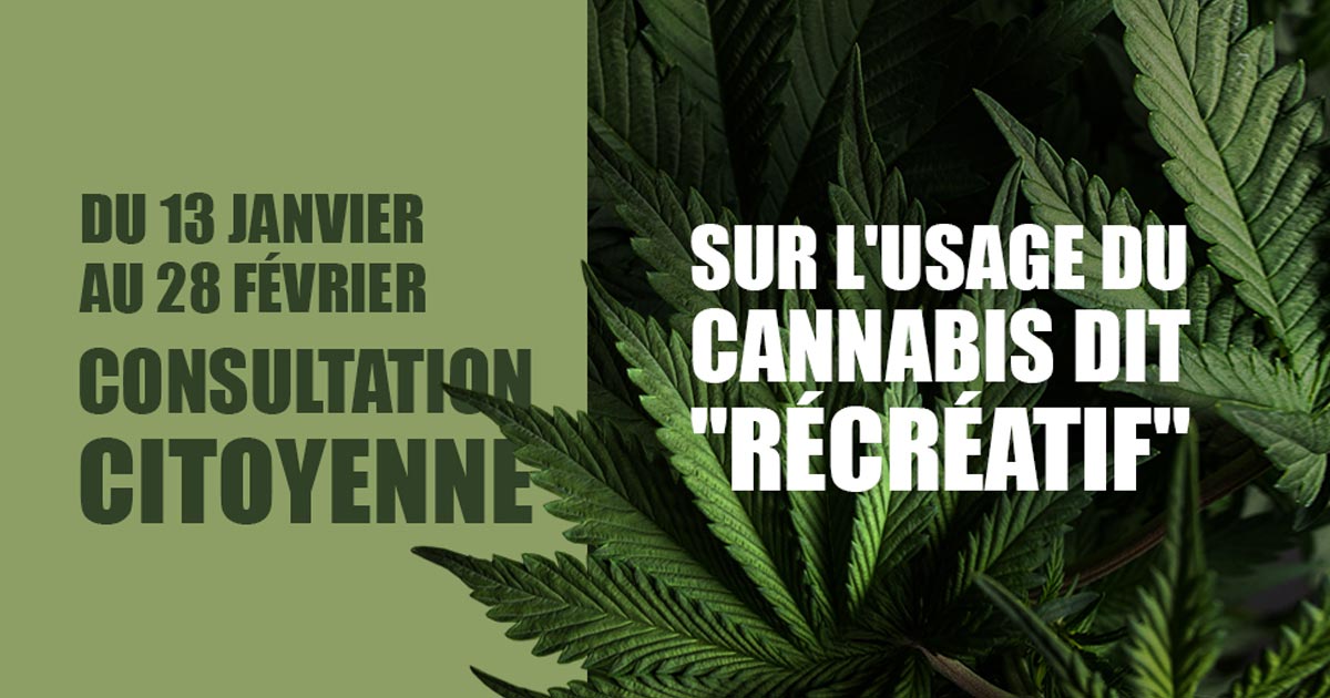 Consultation citoyenne sur le cannabis récréatif