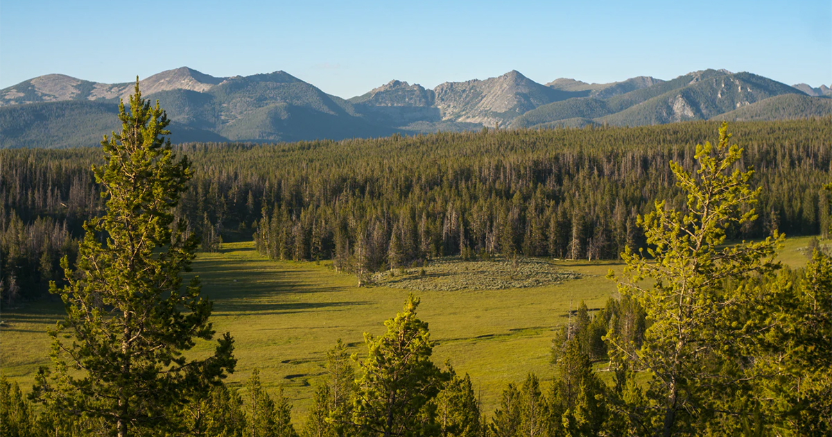 Légalisation du cannabis au Montana