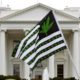 Marée verte de légalisation du cannabis aux Etats-Unis