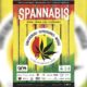 Spannabis 2021