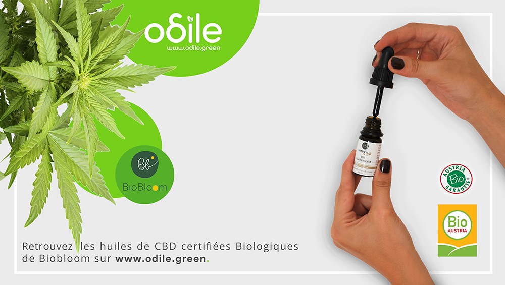 Huile CBD Odile.green