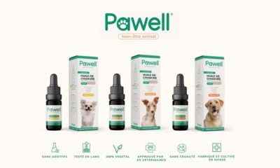 Pawell, du CBD animal