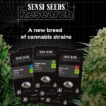 Sensi Seeds and seeds in Germany