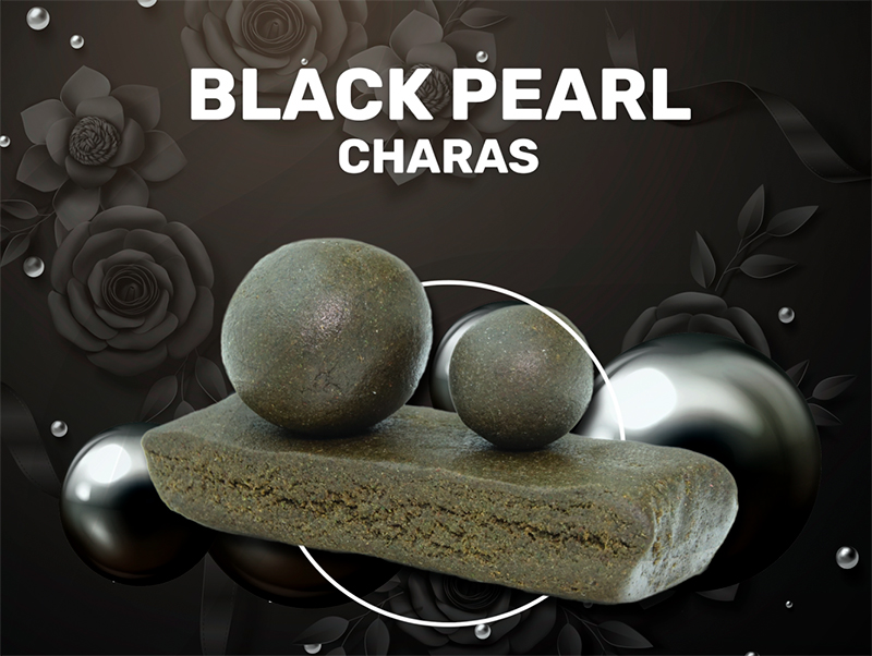 Black Pearl Charas