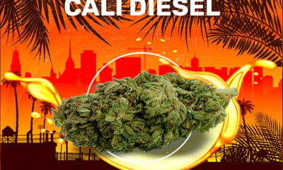 Cali Diesel