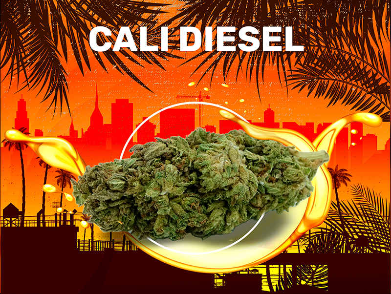 Cali Diesel