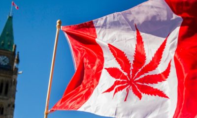 Drapeau du Canada avec une feuille de cannabis