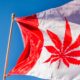 Drapeau du Canada avec une feuille de cannabis