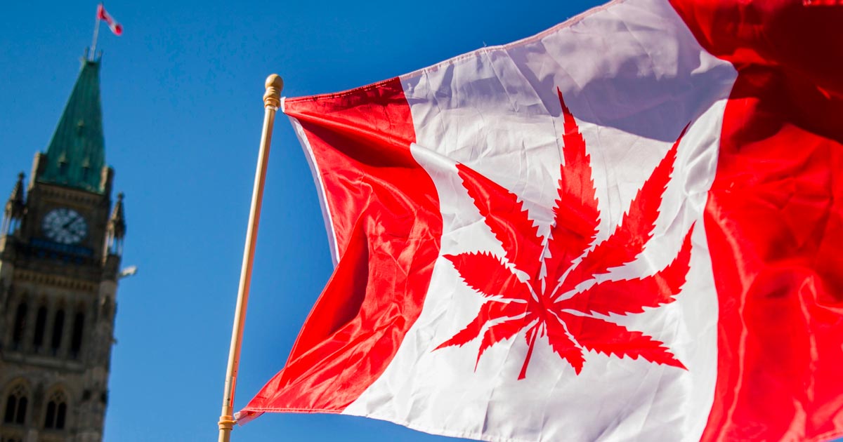 Drapeau du Canada avec une feuille de cannabis